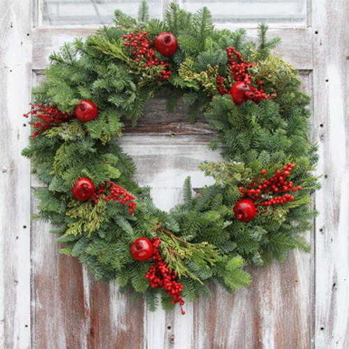 Vòng Nguyệt Quế 26